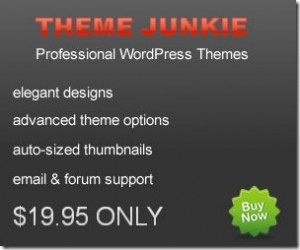 Theme Junkie Review