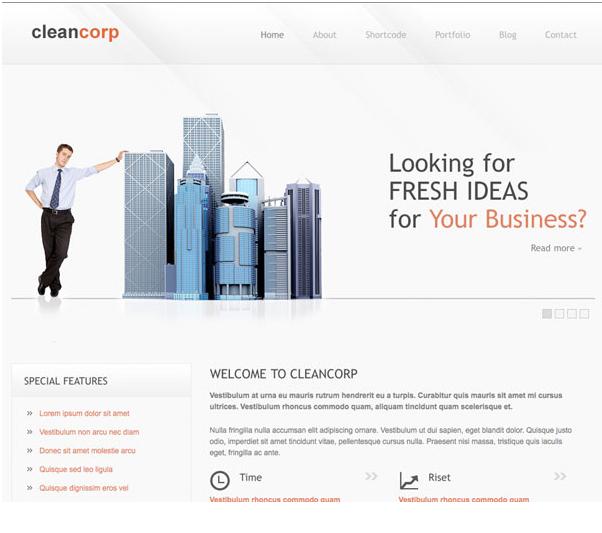 TemplateSold CleanCorp Theme