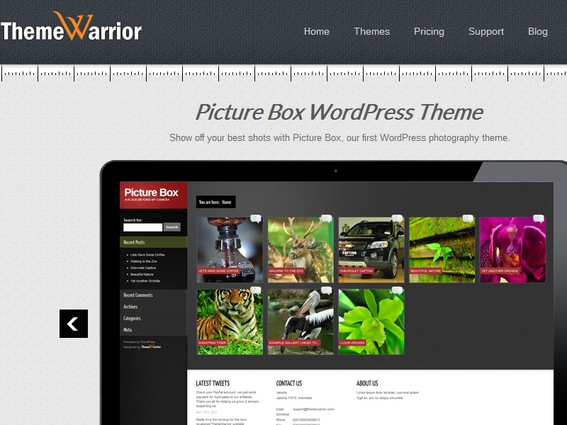 ThemeWarrior Picture Box