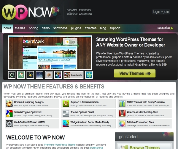Wpnow Themes Review