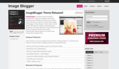 Zidalgo Image Blogger Theme Review