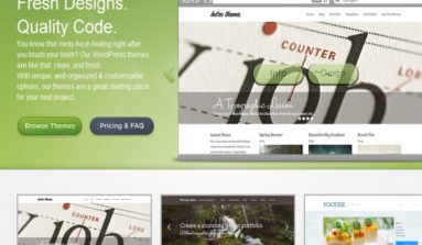 Mint Themes WordPress Themes Review