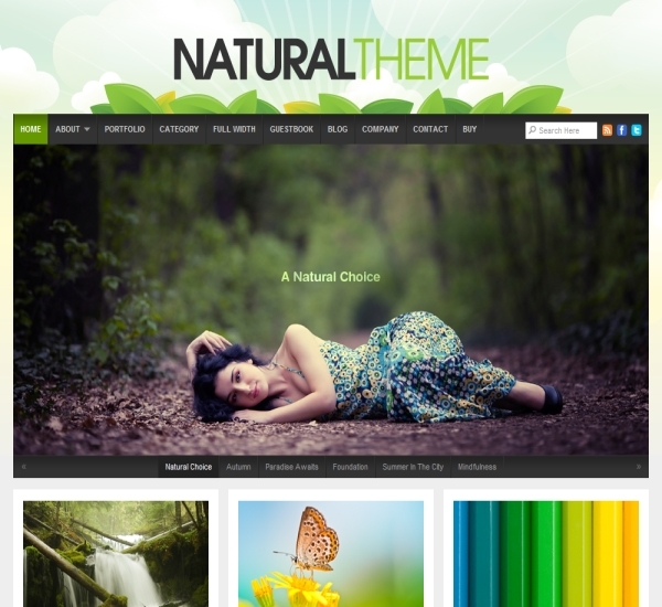 Organic Themes Natural Theme 