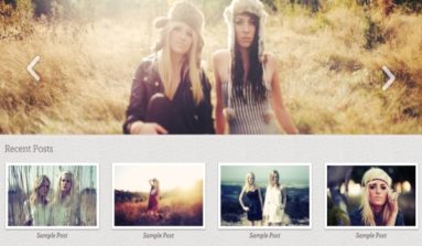 Mint Themes Photostore Theme Review