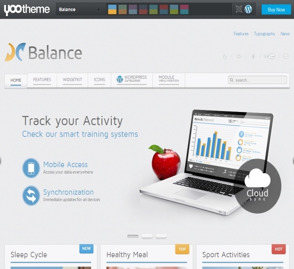 Yootheme Balance WordPress Theme
