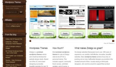 Zidalgo WordPress Themes Review
