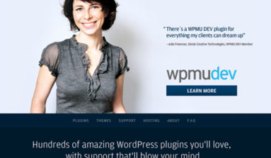 WPMUDEV Review:A One Stop for Quality WordPress Solutions