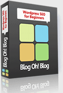 BlogohBlog Themes Review
