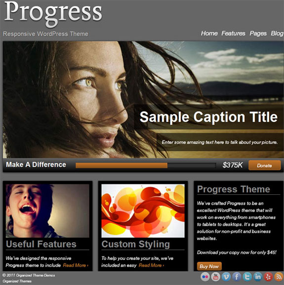 Organized Themes Progress Theme