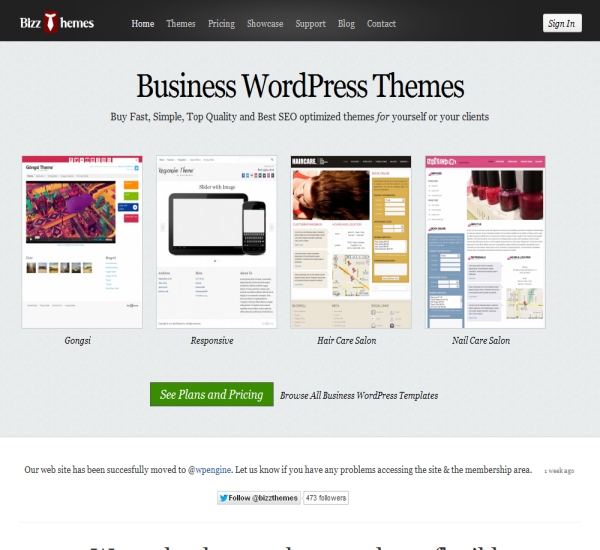 BizzThemes WordPress Themes