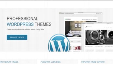 ThemeShift WordPress Themes Review