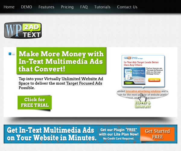 WP Text to Ad-Premium Advertizing management plug-in